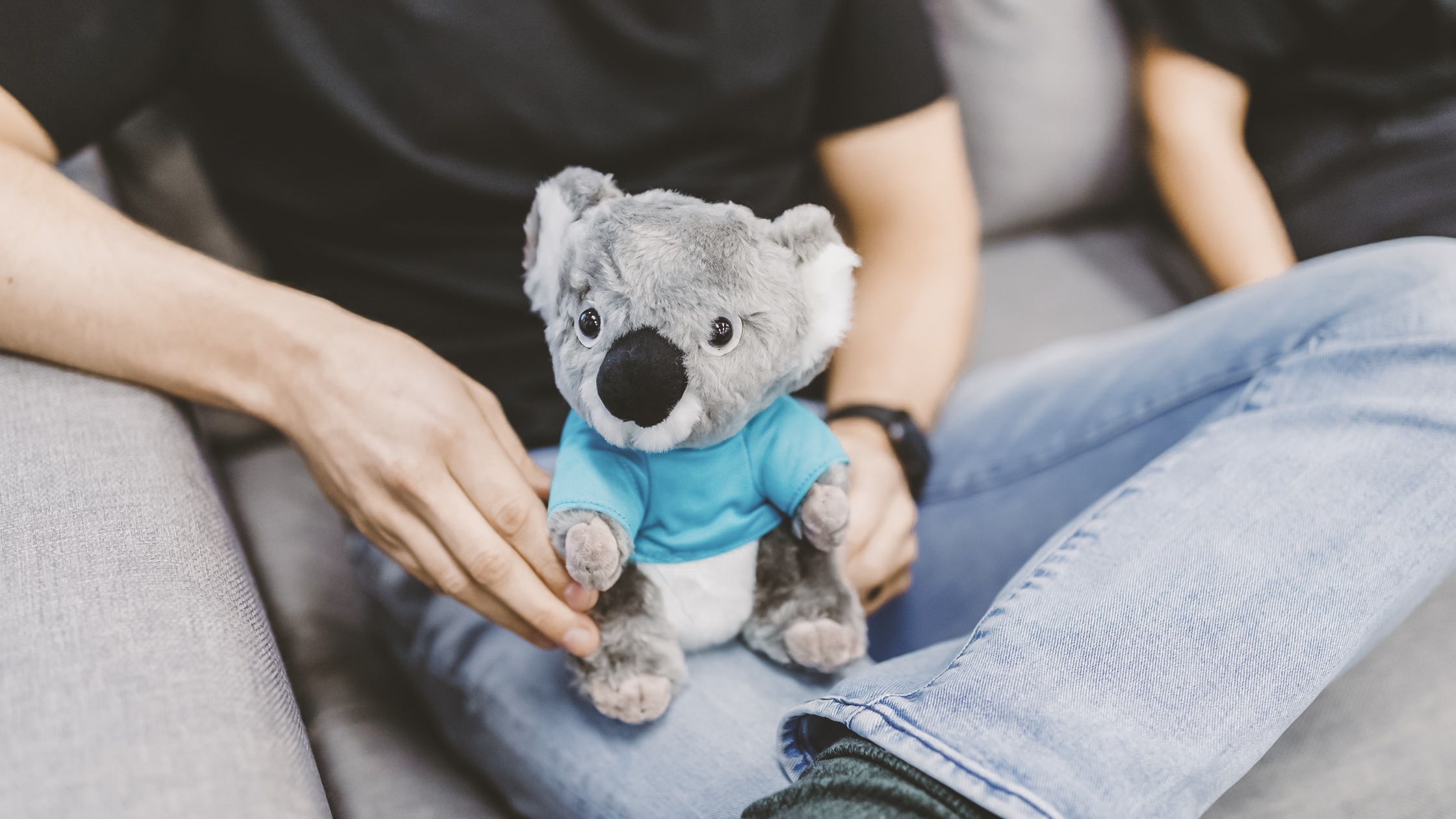 Adopt_and_Animal Koala Policy - A Modern Gay's Guide